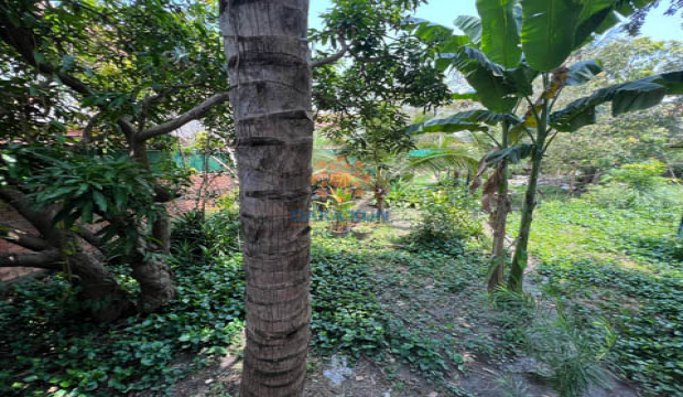 Land for Sale in Krong Siem Reap-near Tmor Meas Rd